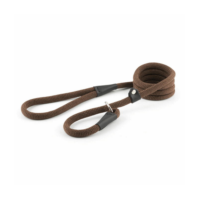 Ancol Deluxe Nylon Rope Slip Dog Lead - Brown - Percys Pet Products