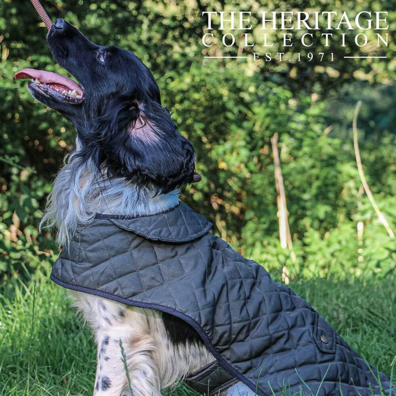 Ancol Heritage Quilted Dog Coat - Percys Pet Products