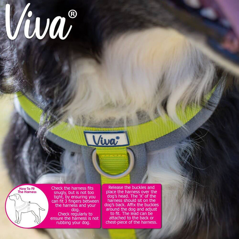 Ancol Viva Padded Dog Harness - Sizes Small to XXL - Percys Pet Products