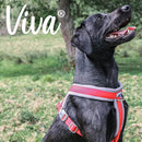 Ancol Viva Padded Dog Harness - Sizes Small to XXL - Percys Pet Products