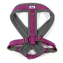 Ancol Viva Padded Dog Harness - Sizes Small to XXL - Percys Pet Products