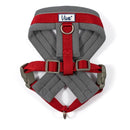 Ancol Viva Padded Dog Harness - Sizes Small to XXL - Percys Pet Products