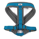 Ancol Viva Padded Dog Harness - Sizes Small to XXL - Percys Pet Products