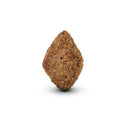 Arden Grange Adult Dog Food with Fresh Salmon & Rice 12kg - Percys Pet Products