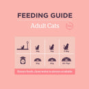 Burgess Adult Rich in Scottish Salmon Dry Cat Food - Percys Pet Products