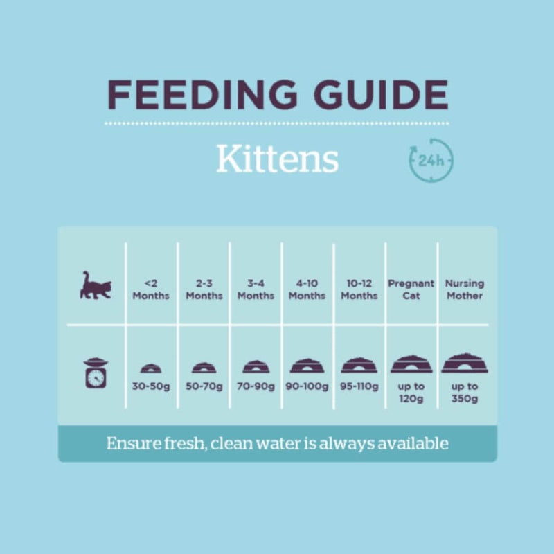 Burgess Kitten Chicken Dry Cat Food 1.5kg - Percys Pet Products
