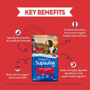 Burgess Supadog Adult Dog Food with Tasty Beef 12.5kg - Percys Pet Products