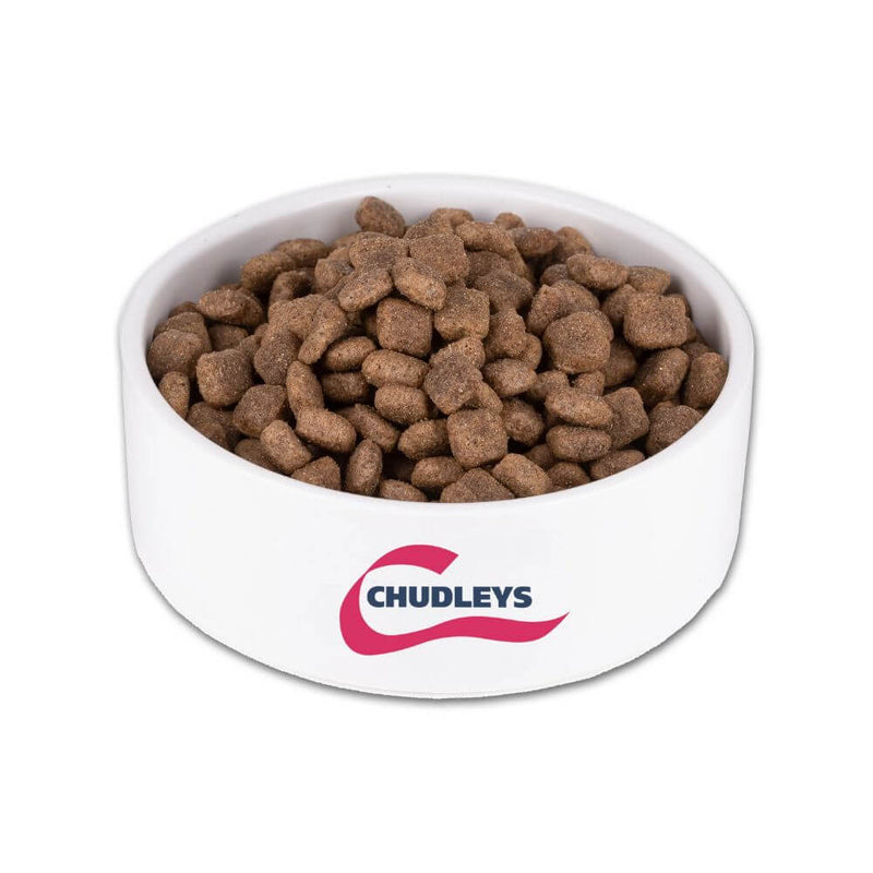 Chudleys Salmon Rice & Vegetables Hypoallergenic Dog Food 14kg - Percys Pet Products