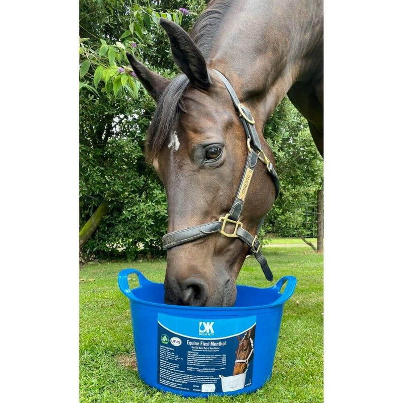 Dallas Keith Equine Flexi Menthol Horse Lick 12.5kg - Percys Pet Products