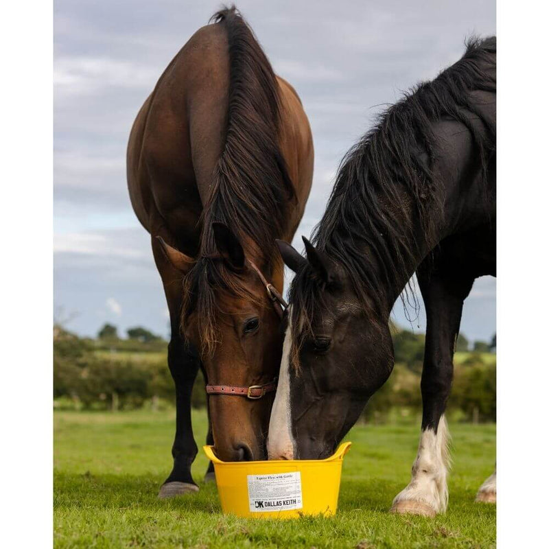 Dallas Keith Equine Flexi Tub Garlic Horse Lick 12.5kg - Percys Pet Products