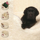 Danish Design My First Bed - Puppy Bed - Percys Pet Products