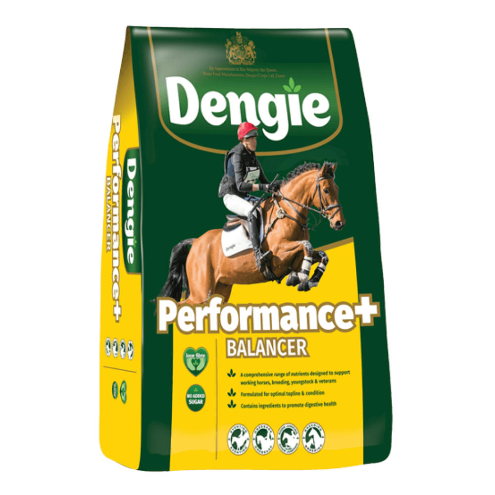 Buy Dengie Performance+ Balancer Feed 15kg - Percys Pet Products