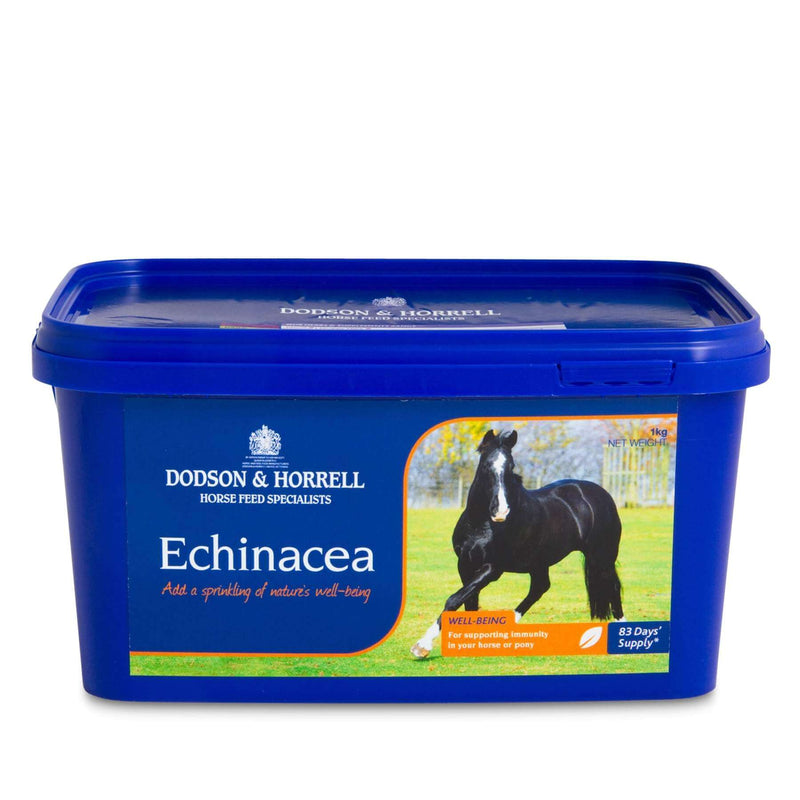 Dodson & Horrell Echinacea Equine Supplement - Percys Pet Products