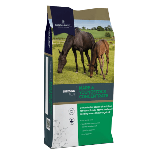 Dodson & Horrell Mare & Youngstock Concentrate - 20kg - Percys Pet Products