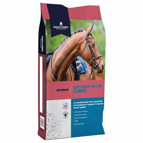 Dodson & Horrell Sixteen Plus Cubes Horse Feed - 20kg - Percys Pet Products
