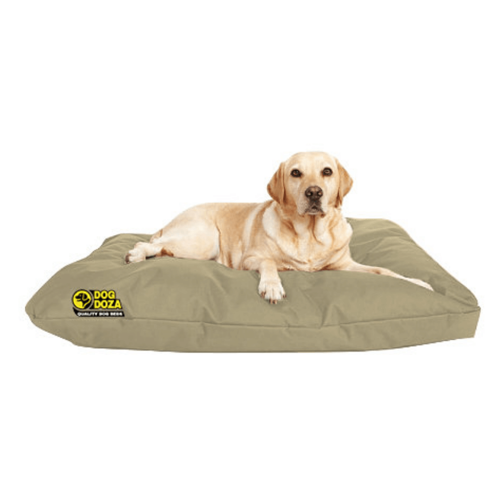 Buy dog bed discount