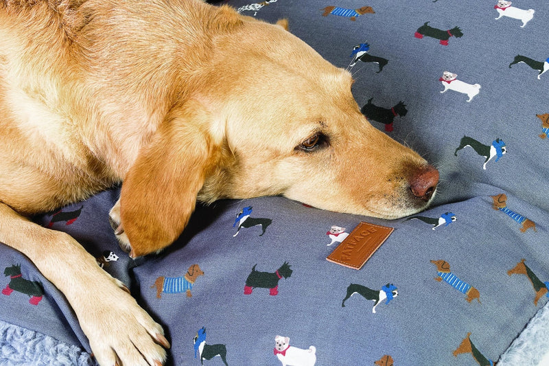 FatFace Marching Dogs Deep Duvet Dog Bed - Spare Cover - Percys Pet Products