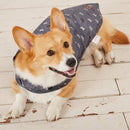 FatFace Marching Dogs Raincoat Dog Coat - Percys Pet Products