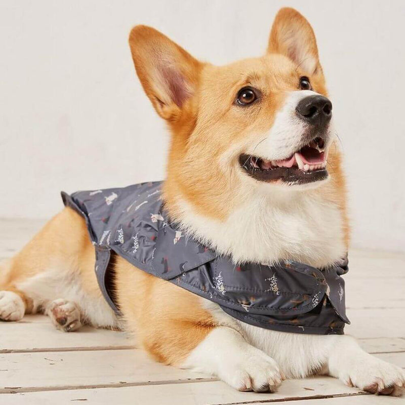 FatFace Marching Dogs Raincoat Dog Coat - Percys Pet Products