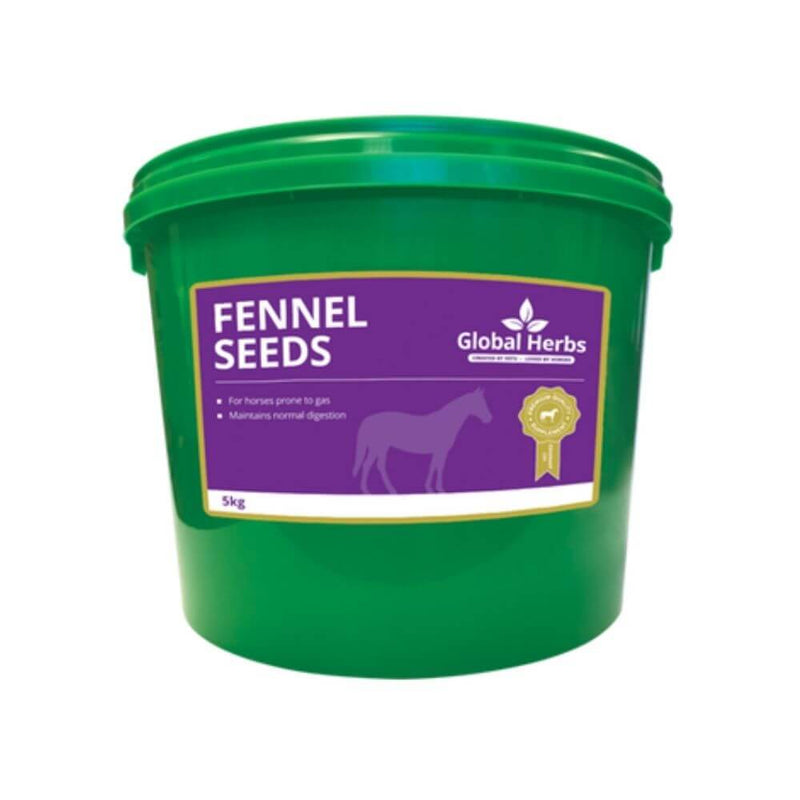 Global Herbs Fennel 1kg - Percys Pet Products