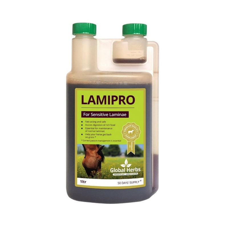 Global Herbs LamiPro Liquid Supplement 1L - Percys Pet Products