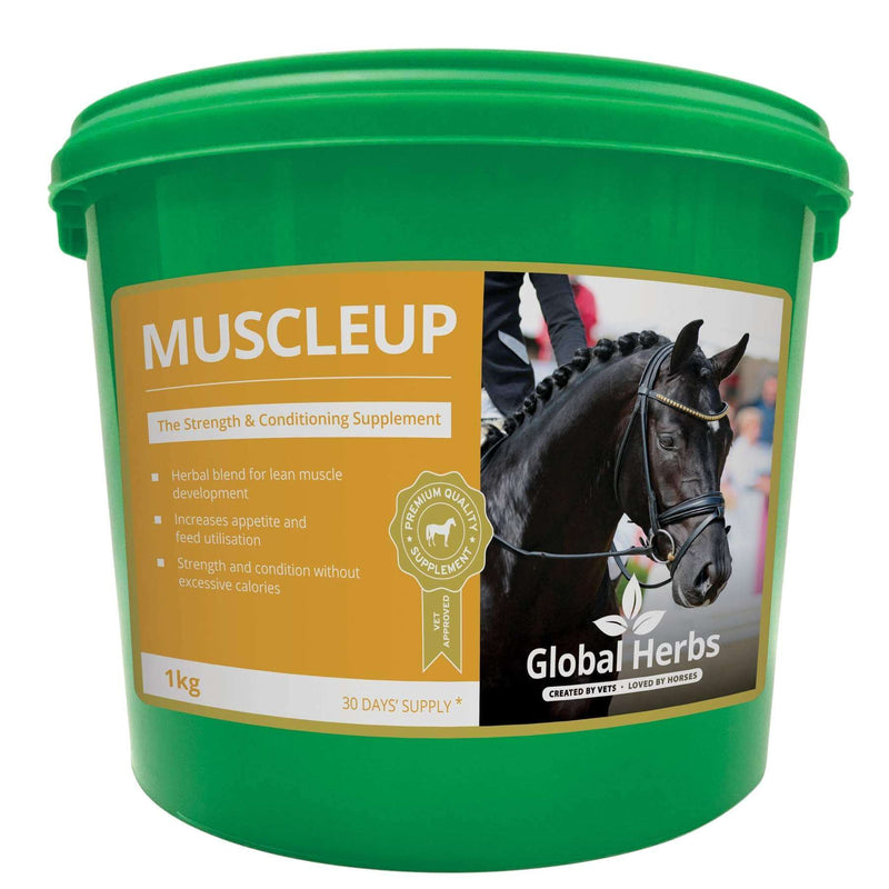Global Herbs Muscle Up 1kg - Percys Pet Products