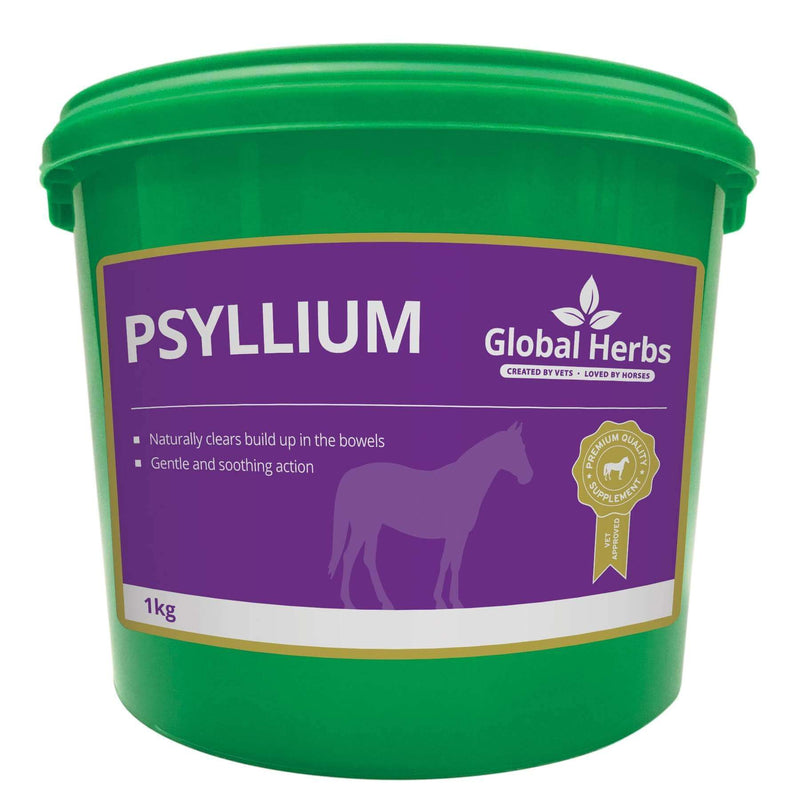 Global Herbs Psyllium Horse Supplement 1kg - Percys Pet Products