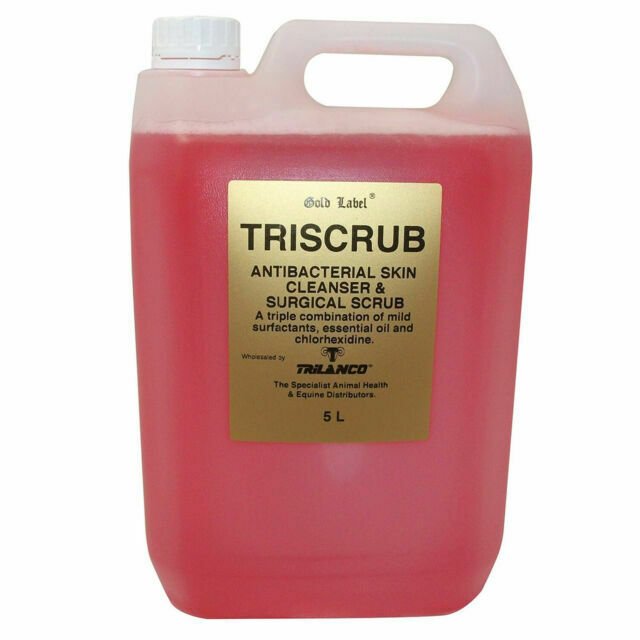Gold Label Triscrub Antibacterial Skin Cleanser 5L - Percys Pet Products