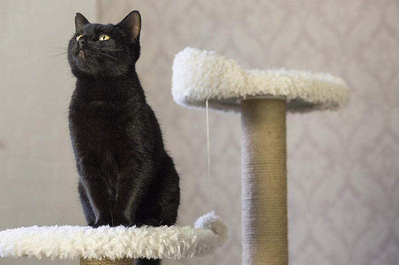 Gor Pets Easy Fix Tree Cat Scratcher - The Grand - Percys Pet Products
