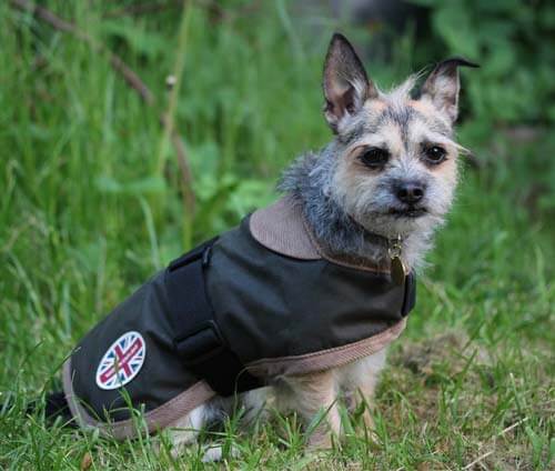 Gor Pets Edinburgh Wax Dog Coat - Percys Pet Products