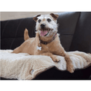 Gor Pets Nordic Double Sided Pet Blanket - Percys Pet Products