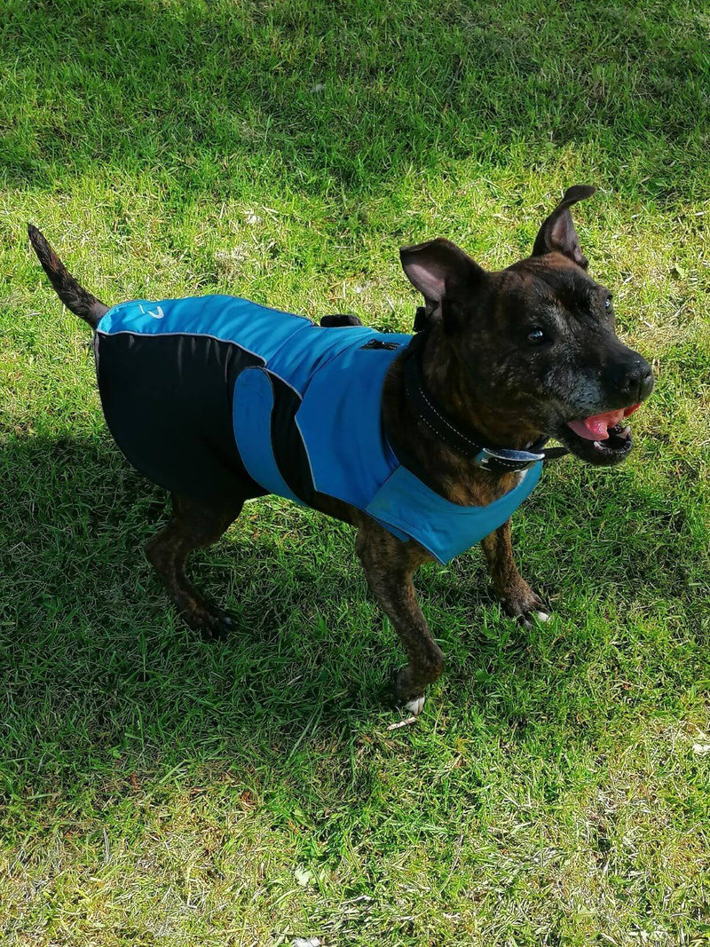 Gor Pets Wrapid Water Resistant Dog Coat - Percys Pet Products