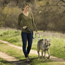 HALTI Premium Reflective 3M Design Dog Lead - Percys Pet Products