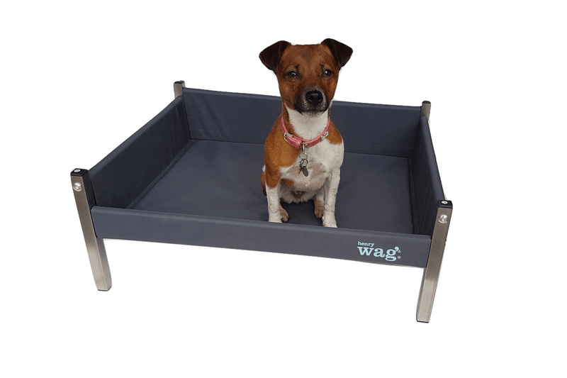 Henry Wag Elevated Dog Bed - Percys Pet Products