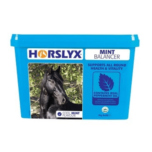 Horslyx Mint Balancer Horse Lick - Percys Pet Products