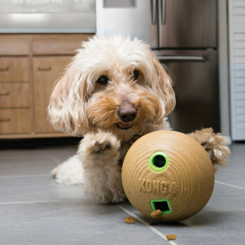 KONG Bamboo Feeder Ball Medium Dog Toy - Percys Pet Products