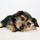 KONG ChewStix Stick Dog Toy - Percys Pet Products