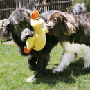 KONG Comfort Jumbo Duck Dog Toy - Percys Pet Products