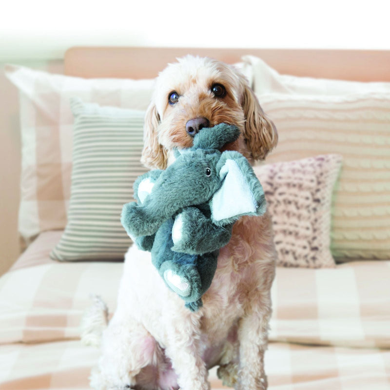 KONG Comfort Kiddos Dog Toy - Percys Pet Products