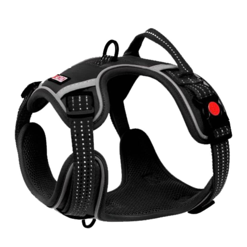 Kong on the go adjustable harness hotsell