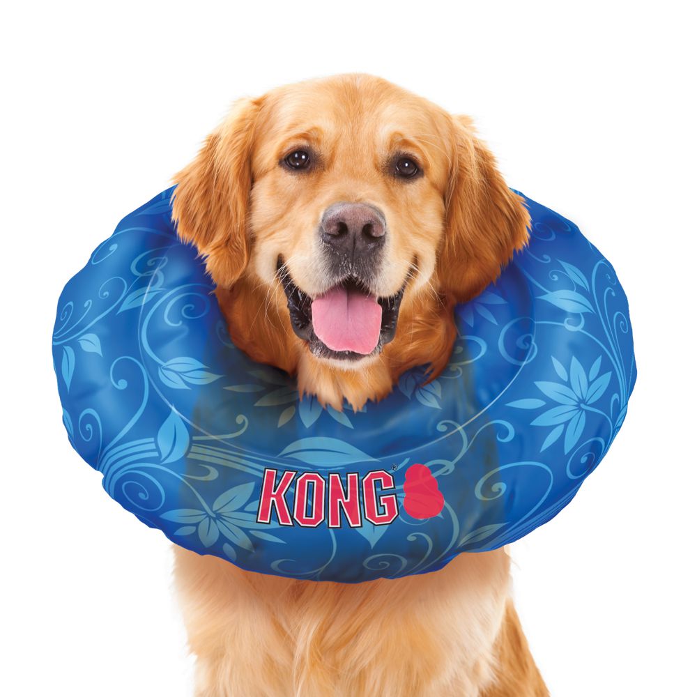 Buy KONG Cushion Inflatable Dog Collar Percys Pet Products