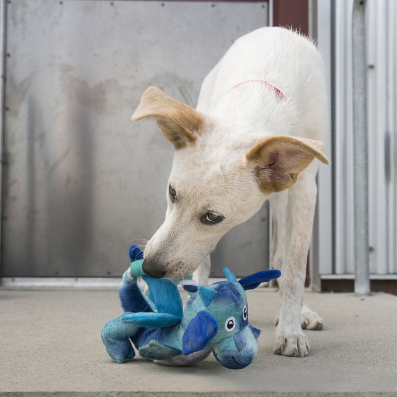 KONG Dragon Knots Dog Toy - Percys Pet Products