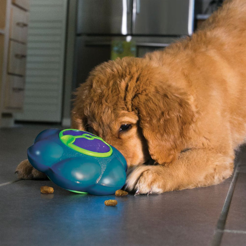 KONG Flipz Treat Dispensing Dog Toy - Percys Pet Products