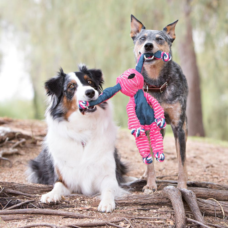 KONG Floppy Knots Bunny Dog Toys - Percys Pet Products