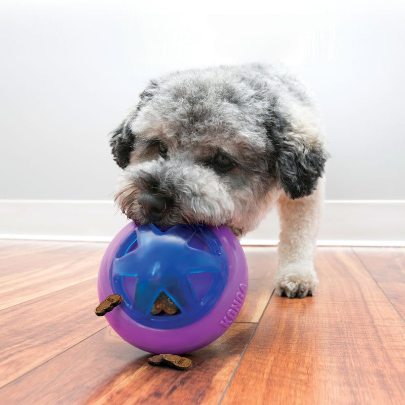 KONG Hopz Ball Treat Dispensing Dog Toy - Percys Pet Products