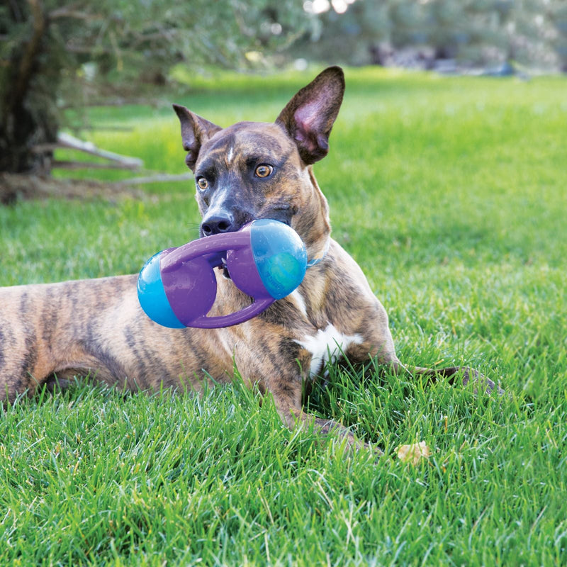 KONG Jumble Tri Dog Toy - Percys Pet Products