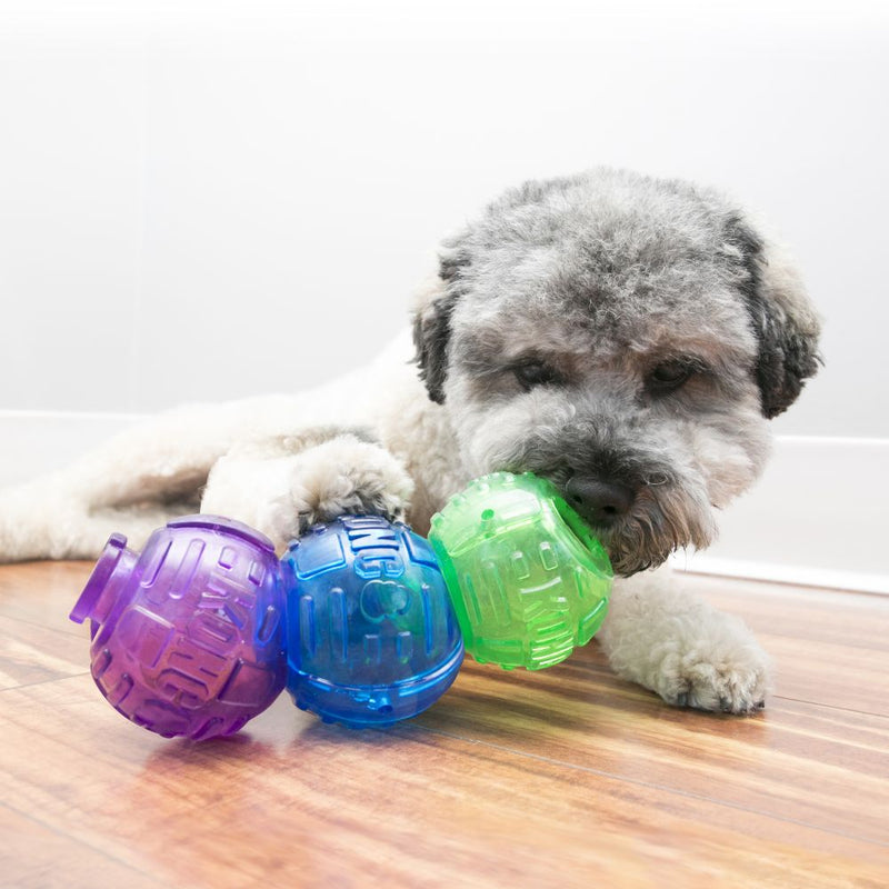 KONG Lock-It Dog Toy - Percys Pet Products