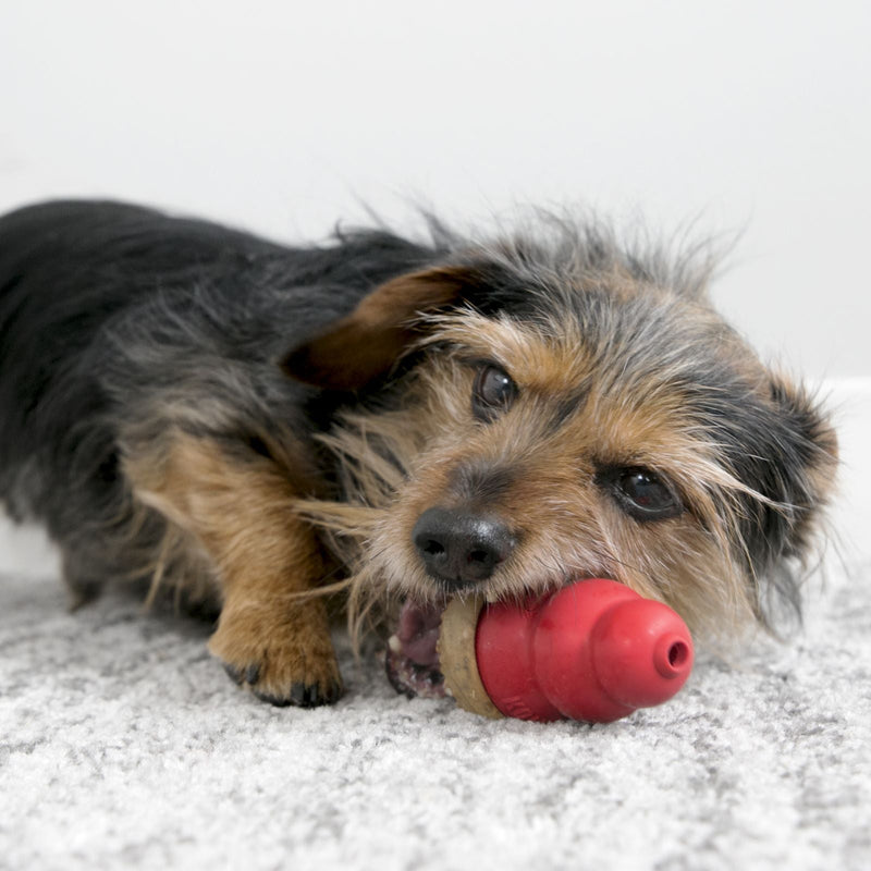 KONG Marathon Dog Treats - Peanut Butter - Percys Pet Products