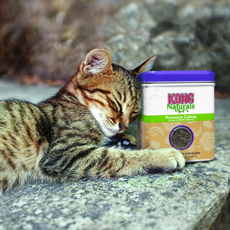 KONG Naturals Catnip - Percys Pet Products