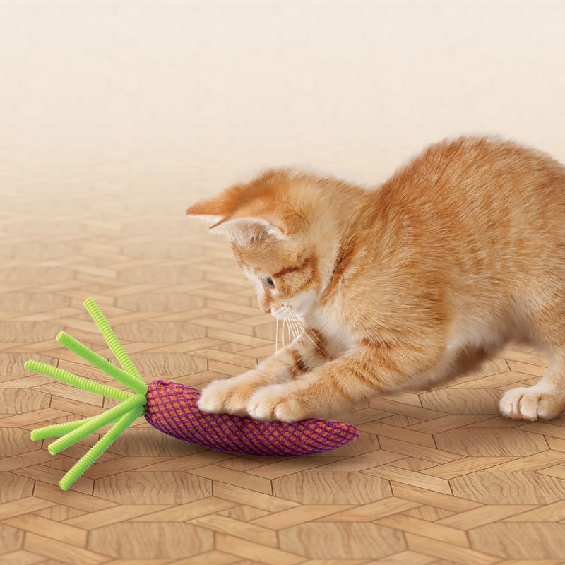 KONG Nibble Carrots Cat Toy - Percys Pet Products